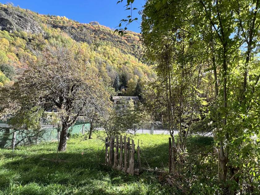 Winter Immobilier - Appartamento - Saint-Étienne-de-Tinée - 5a90128e59141dab87f351d83bf3fd38_eae55e334c_1920