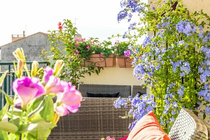 Winter Immobilier - Appartement - Nice - Fleurs Gambetta - Nice - f3e8663bd9d720473cfa64692b807e40_e587441664_1920