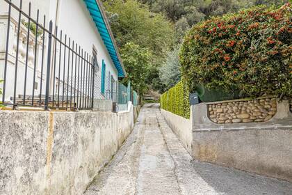 Winter Immobilier - Casa/ Villa - Nice - Fabron - Nice - 4bf2b2da12eac52842d6f5ae368ce9c8_40adc384e7_1920