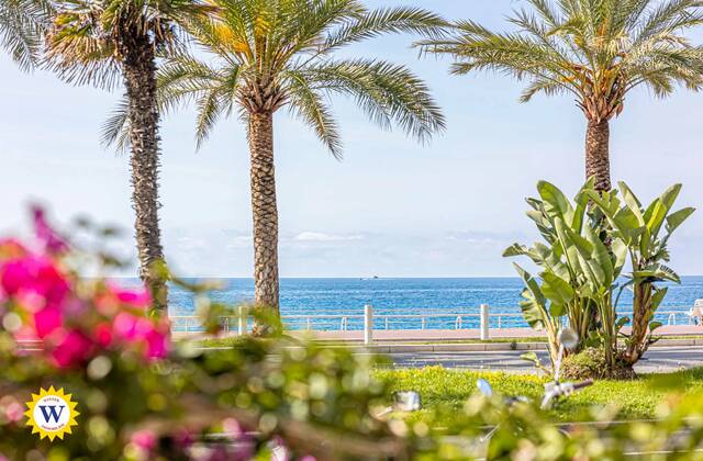 Winter Immobilier - Appartement - Nice - c038b20a203be4d932761244de2ad319_340a328ef5_1920