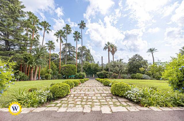 Winter Immobilier - Appartement - Cannes - 8bba80fc0283664cbaf338260abfde6e_a3ec5ebb95_1920
