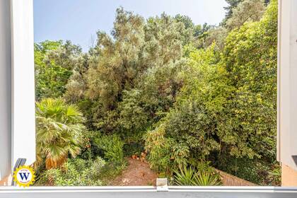 Winter Immobilier - Appartamento  - Nice - Californie / Ferber / Carras - Nice - 80b21d228c7b28ad511bcca4feb9ee1d_d87e5243bd_1920