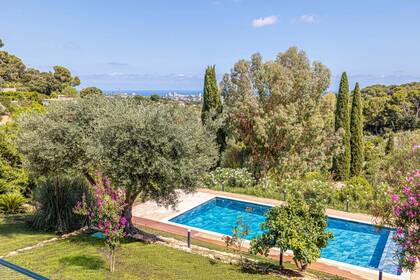 Winter Immobilier - Maison - Golfe-Juan - 9ef0f0c2f8804d1500f513864ba6cc16_d4e7748e13_1920