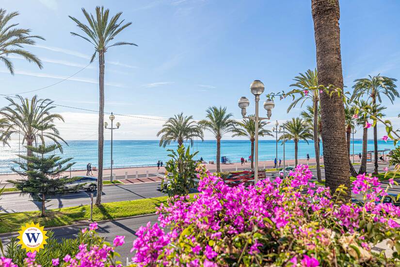 Winter Immobilier - Appartement - Nice - 8828cbeb3606e19b652d098a8da5a7e6_a67720de45_4096