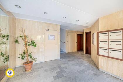 Winter Immobilier - Apartment - Nice - Cimiez - Nice - dbd2cb399a0b7260c32254137e3f4875_c38ceddc79_4096