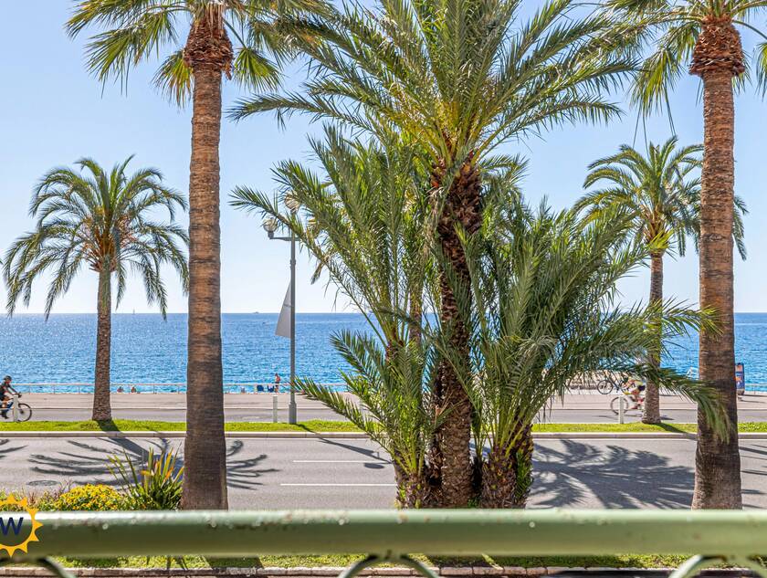 Winter Immobilier - Appartement - Nice - Fabron - Nice - 881b5a5a52dd99a18f78422ebe986bca_f5687d68f3_4096