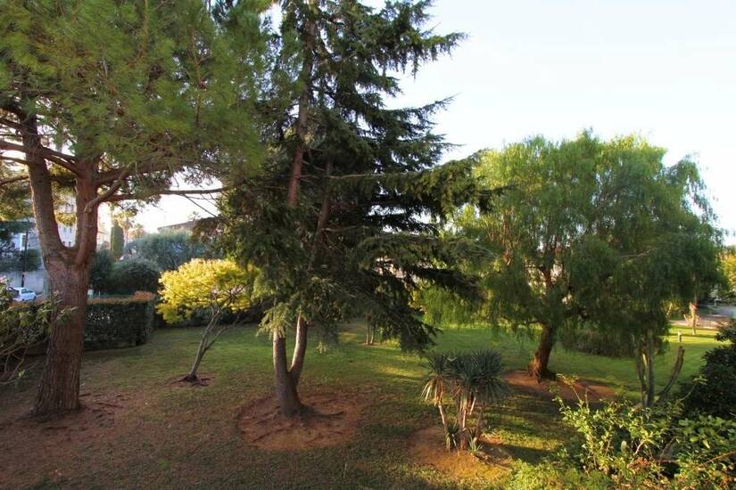Winter Immobilier - Appartement - Golfe-Juan - daadf306090980880923d4fdb042ab58_64b012ede3_1024