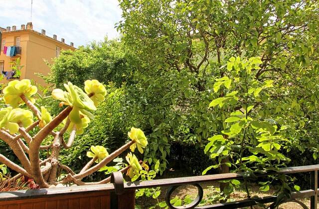 Winter Immobilier - Appartement - Nice Nord - Nice - f4f394be476d4e0be76ca4e82241ef12_2142a742bc_1920