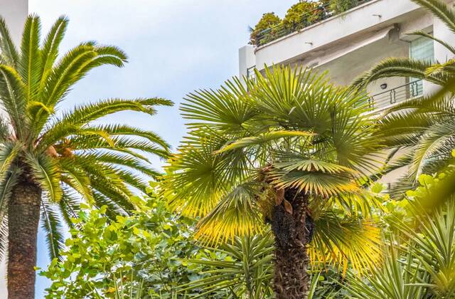 Winter Immobilier - Appartement - Nice - Fleurs Gambetta - Nice - ef9352fcb93e5e5821d0d3f09449bd42_caa0e3d499_1920