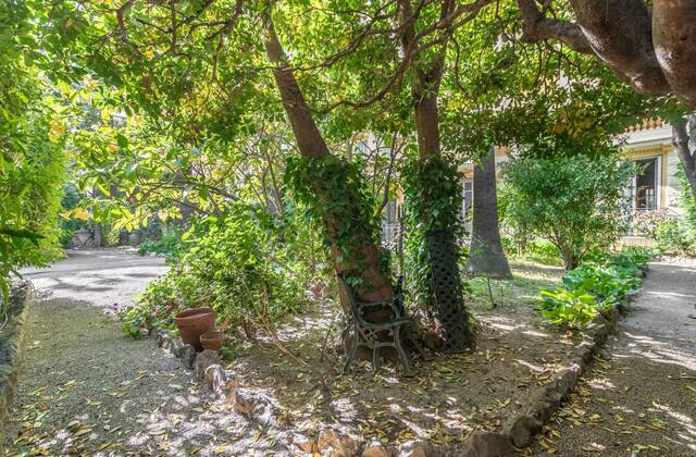 Winter Immobilier - Appartement - Nice - Fleurs Gambetta - Nice - cb8acbbffe65187d0273b4f78550cad8_ecbbbdc917_1920