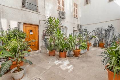 Winter Immobilier - Appartement - Nice - Fleurs Gambetta - Nice - c1039615c17fc6da1432c4e67ccc5bf6_04cdeb6278_1920