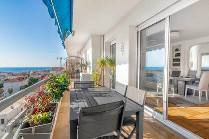 Winter Immobilier - Appartamento - Nice - Baumettes - Nice - 59f7d5dab8600802959f6701b918e72a_aaaf30496f_1920