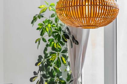 Winter Immobilier - Appartement - Nice - Musiciens - Nice - 257946dc321adb2b1d88c5f43ebd650d_d097ba997c_1920