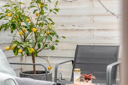 Winter Immobilier - Appartement - Nice - Musiciens - Nice - d2f1169771737d859bf315cb495278d9_238df19a80_1920