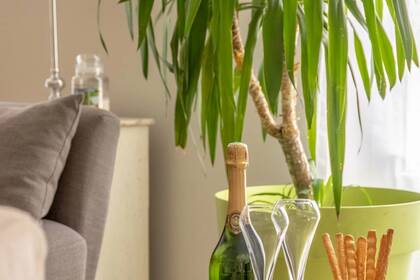 Winter Immobilier - Appartement - Nice - 3afe0adf8ef7b15586d39f7b7cddcc13_8d73f0b723_1920